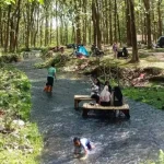 Menikmati Wisata Kapas Ijo di Kaki Gunung Semeru