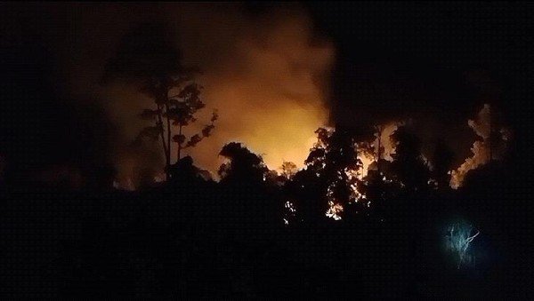 1.022 Hektare Taman Nasional Lahan Way Kambas Terbakar