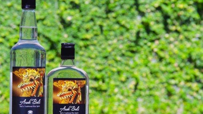 Intip Proses Pembuatan Arak, Oleh-oleh dari Bali Utara